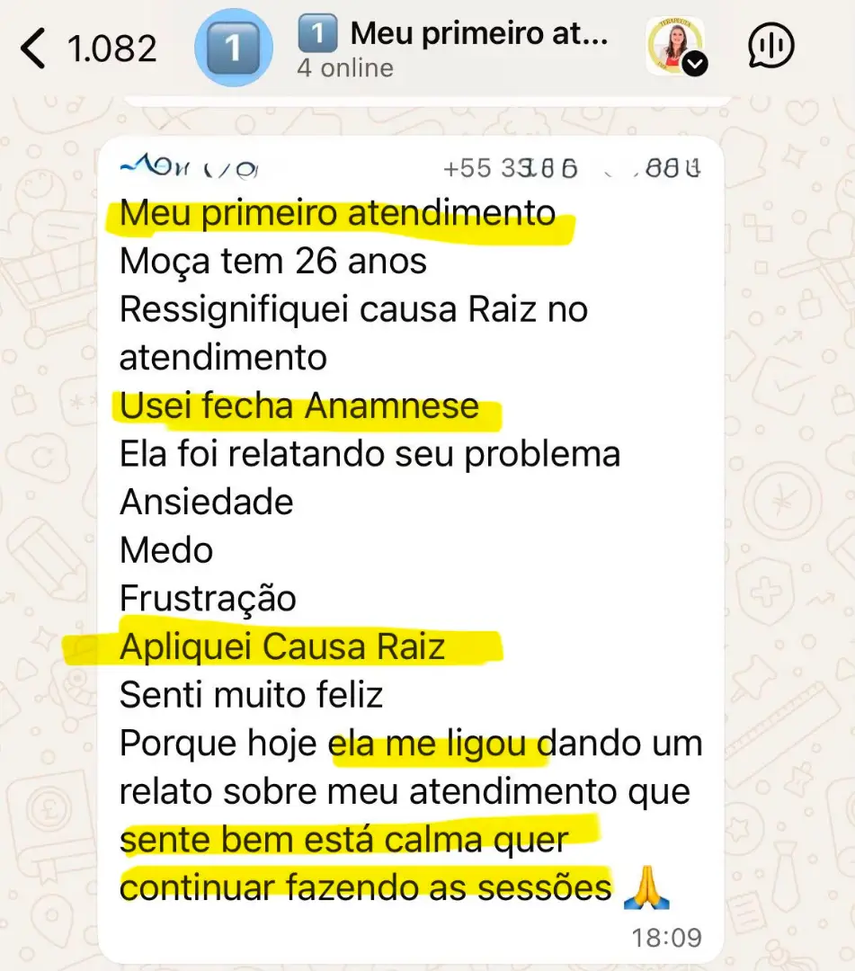 Print do WhatsApp — Cris Alves